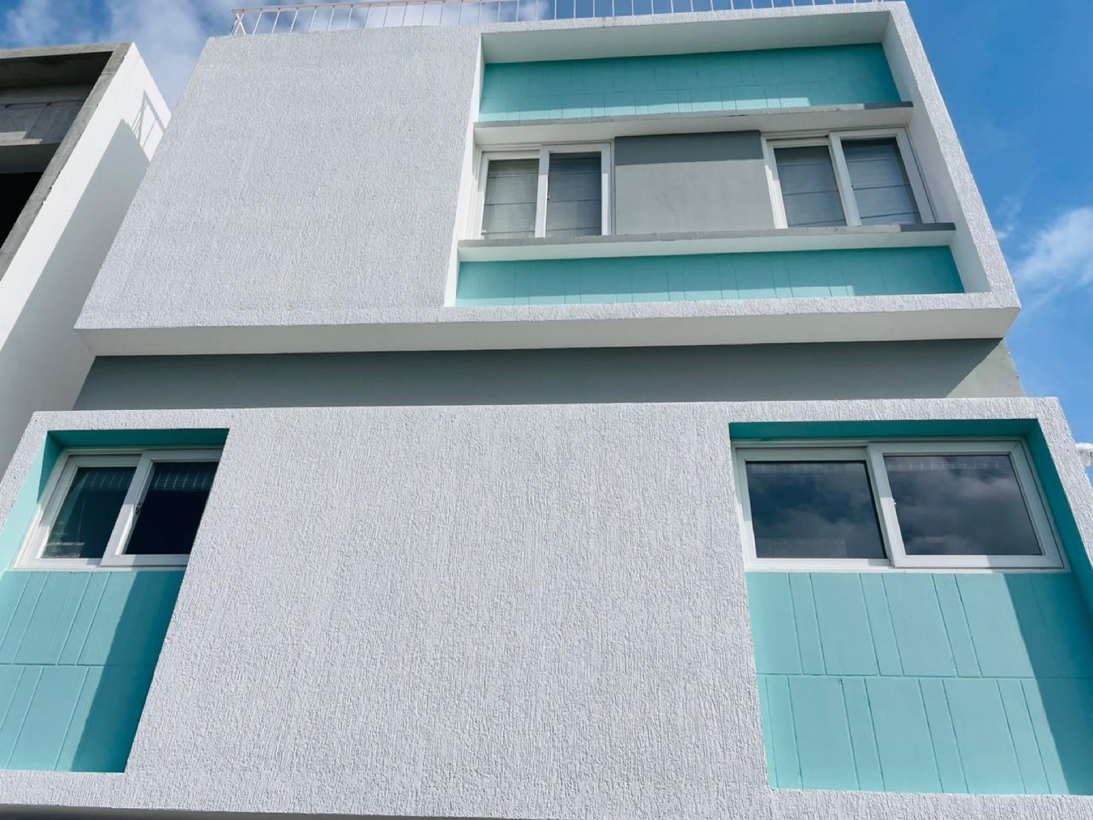 Whitehill Royal Tulip