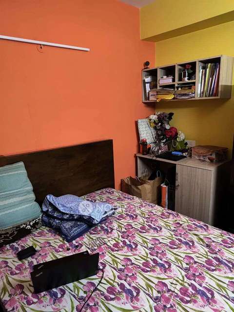 3 BHK Flat In Paras Tierea For Sale  In Sector 137