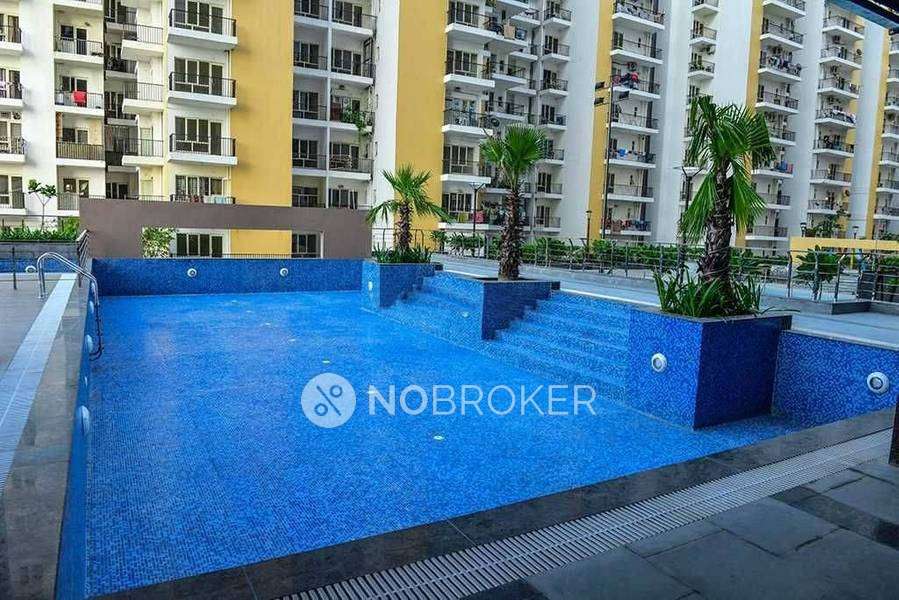 2 BHK Flat In Panchsheel Hynish For Sale  In Sector-1