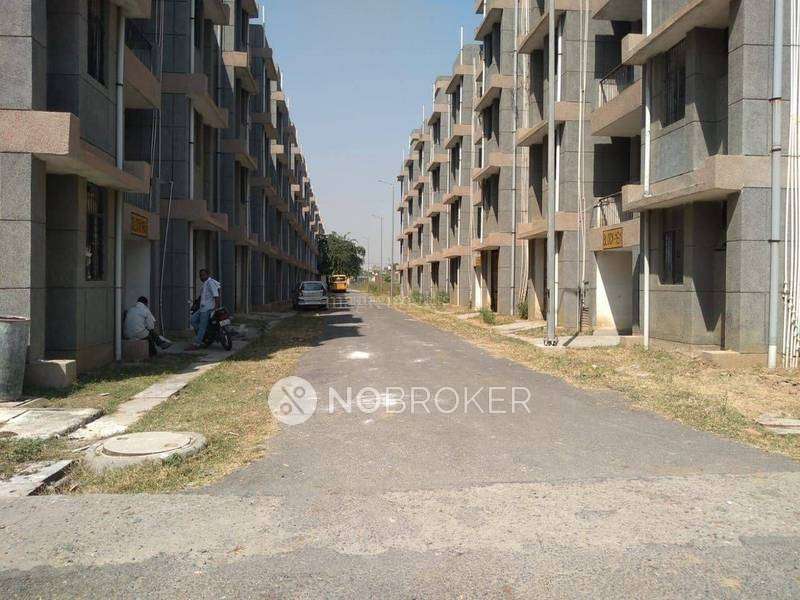 1 BHK Flat In Greater Noida Devlopement Flats for Rent  In Sector Mu 2
