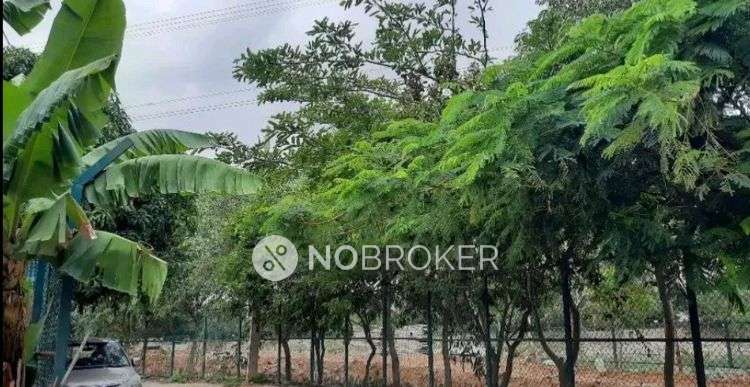 1 BHK Flat In Standalone  Building for Rent  In Krishnarajapura