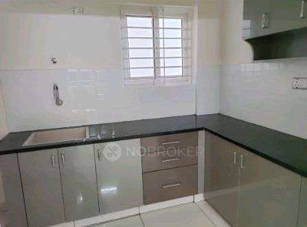 1 BHK Flat In Virat Helios  for Rent  In Whitefield