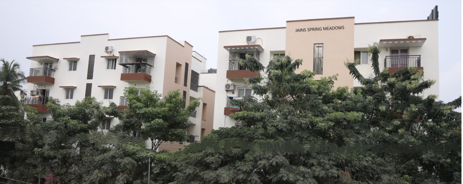 Jains Spring Meadows