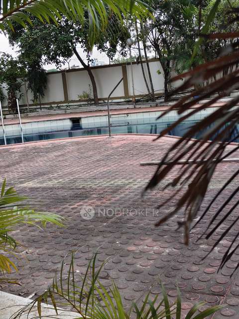 3 BHK House for Rent  In Anmol Residency D Block Road