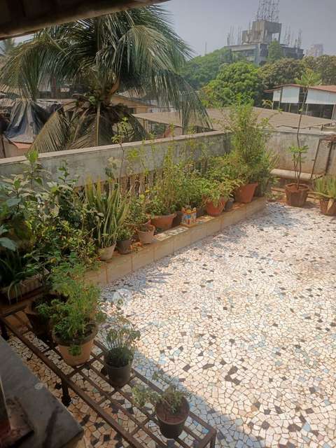 4+ BHK Villa In Green Acres Bunglow  For Sale  In Chambur