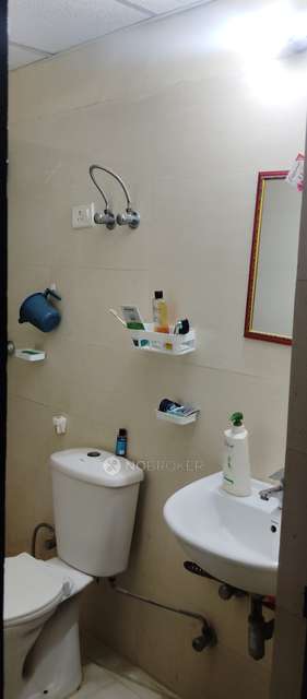 2 BHK Flat In Amrapali Castle For Sale  In Sector Chi V