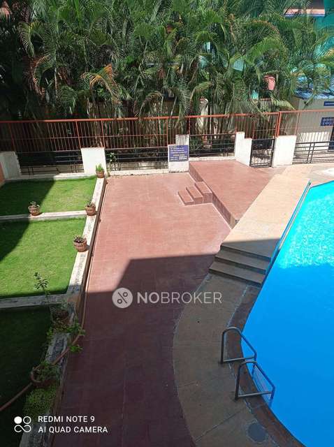 2 BHK Flat In Mahaveer Clover for Rent  In Mahaveer Clover