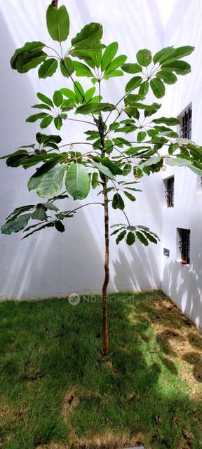 4+ BHK House For Sale  In Battarahalli