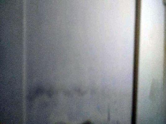 1 BHK Flat In Forest Castle For Sale  In Ambegaon Budruk