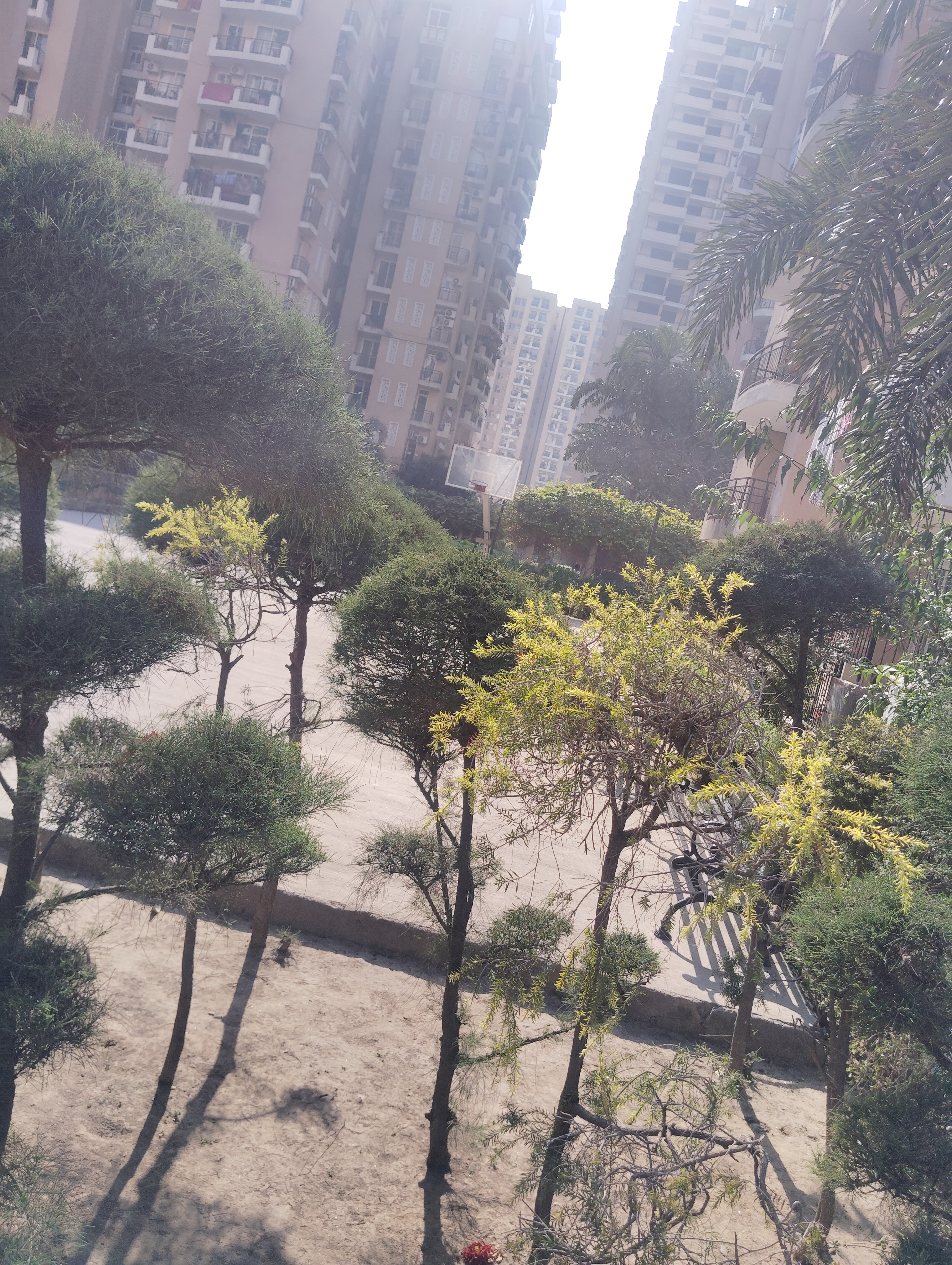 Strategic Royal Court