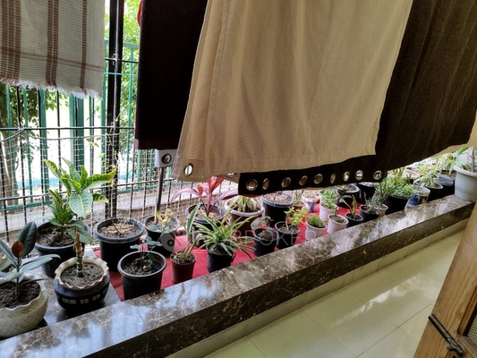 3 BHK Flat In Standalone Building  For Sale  In Sector 43