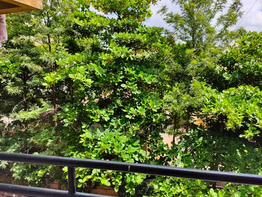 2 BHK Flat In  Suryaganga Society for Rent  In Dhayari 