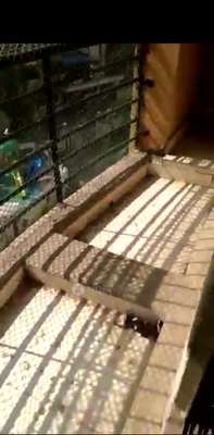 2 BHK Flat In Rashmi Dhruvita Park for Rent  In Vasai East