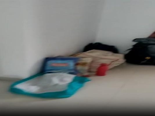 1 BHK Flat In Utsav Residency Phase 2 for Rent  In Wagholi