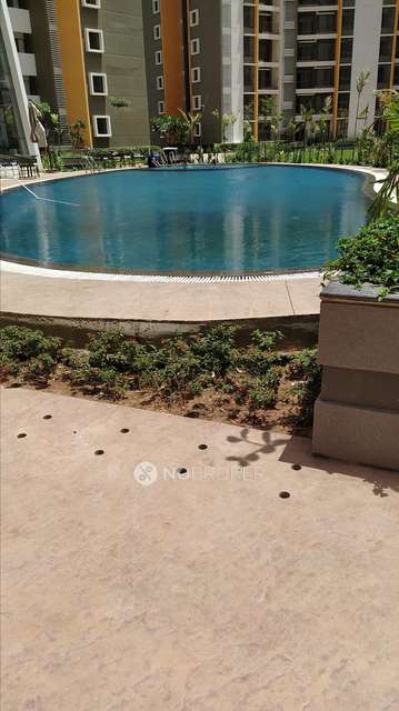 2 BHK Flat In Shapoorji Pallonji Joyville Hinjawadi I Phase I, Hinjewadi for Rent  In Hinjewadi