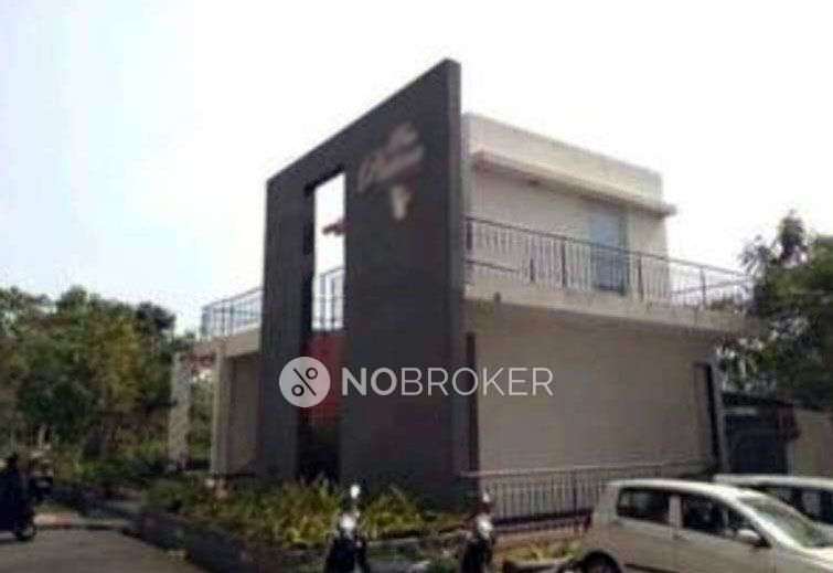 1 BHK Flat In Tcg Panorama for Rent  In Ambegaon Bk