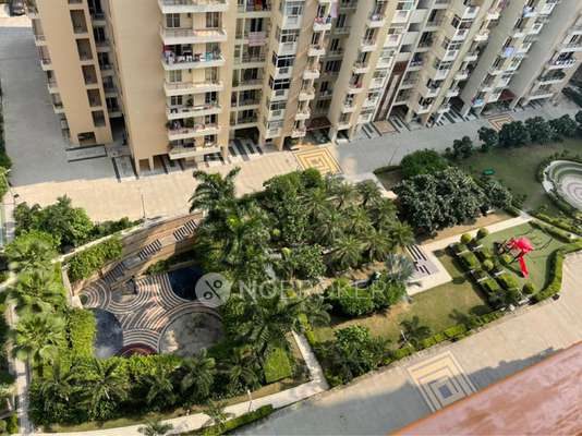 2 BHK Flat In Gulshan Vivante, Sector-137 for Rent  In Sector-137