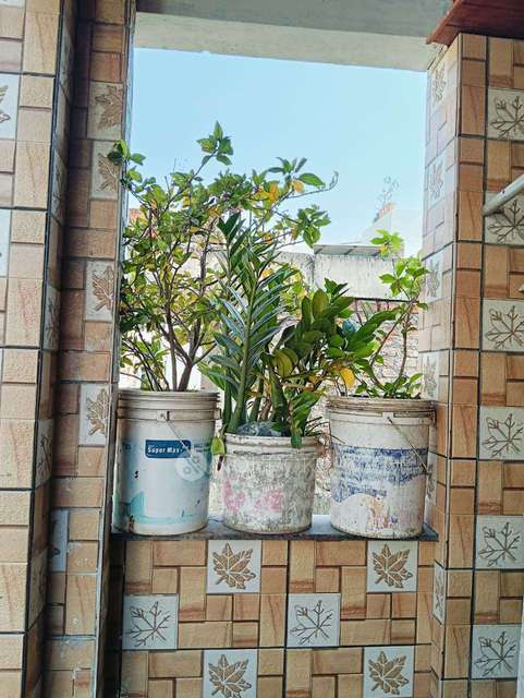 1 RK Flat In Standalone Building  for Rent  In Mahadeonagar