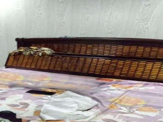 1 BHK Flat In Apartment For Sale  In Shahdara