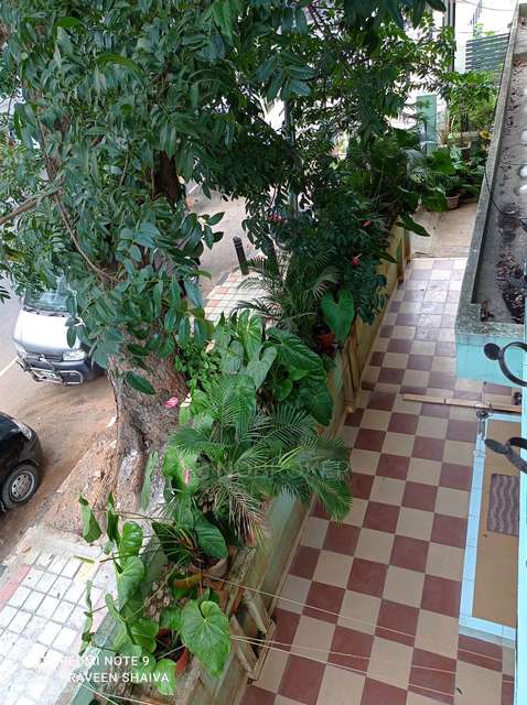 PG for Girls in Jayanagar 4th Block 