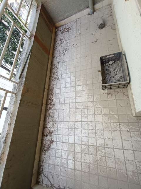 2 BHK Flat In Grove  Apartment for Rent  In Wakad