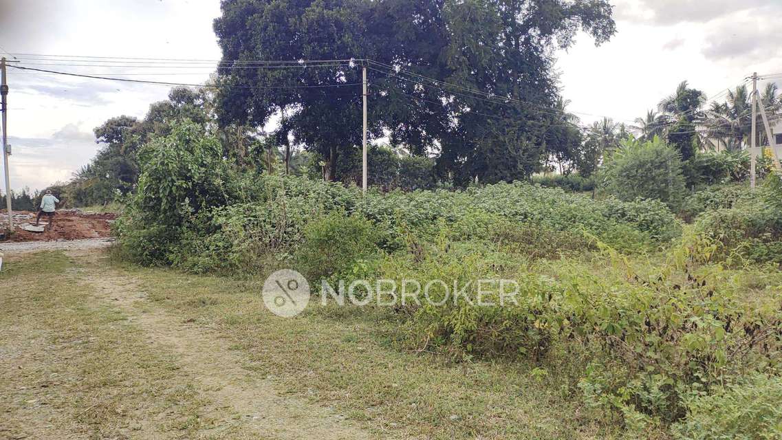 Commercial Property in Kammasandra, Bangalore for Rent 