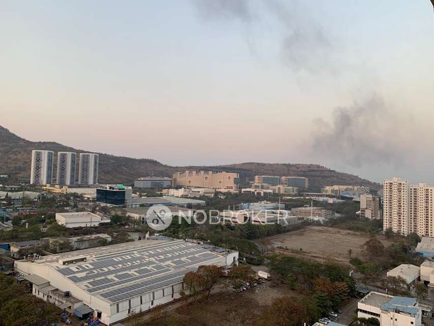 2 BHK Flat In Ace Augusta for Rent  In Hinjewadi