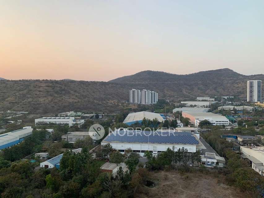 2 BHK Flat In Ace Augusta for Rent  In Hinjewadi