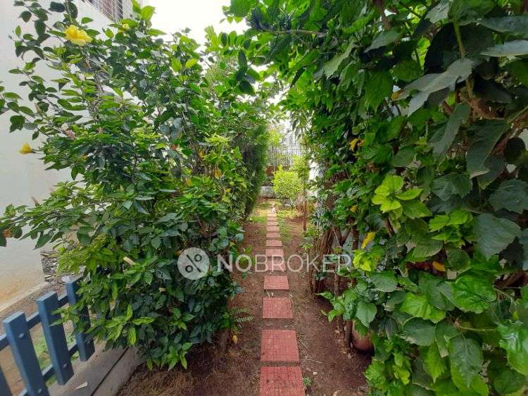 3 BHK House for Rent  In  Wagholi