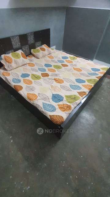 PG for Girls in Fateh Nagar