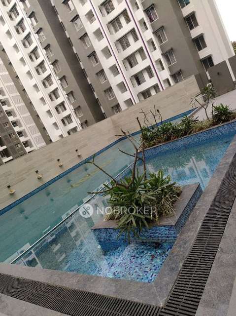 2 BHK Flat In Itrend Homes for Rent  In At S. No. 2751 And 2761, Itrend Homes Rd, Hinjawadi Phase Ii, Hinjawadi Rajiv Gandhi Infotech Park, Hinjawadi, Pimpri-chinchwad, Maharashtra 411057, India