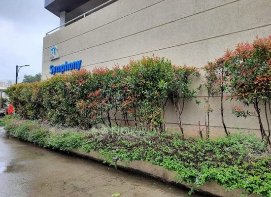 2 BHK Flat In Megapolis Symphony, Hinjewadi for Rent  In Hinjewadi