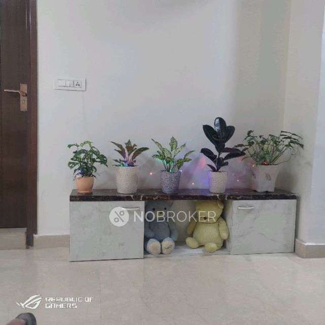 3 BHK Flat For Sale  In Mansarover Garden