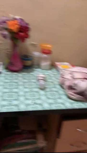 2 BHK Flat In Sai Palace  for Rent  In Chinchwad