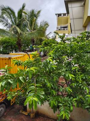 2 BHK Flat In Celina Co-operative Housing Society Ltd for Rent  In Kavde Nagar, Rahatani