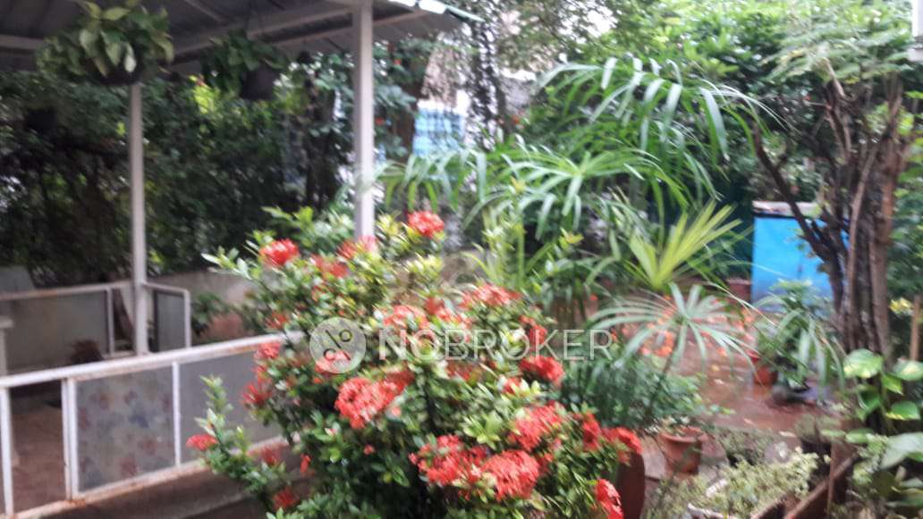 3 BHK Flat In Shwetali Housing Society For Sale  In Kothrud