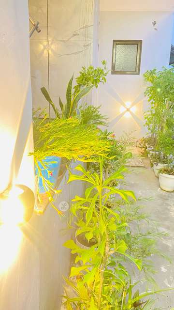 PG for Girls in East Patel Nagar