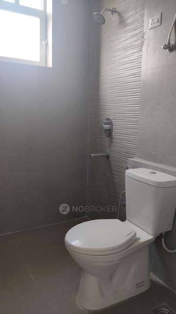 3 BHK Flat In Signatue Global City  For Sale  In Sector 37d