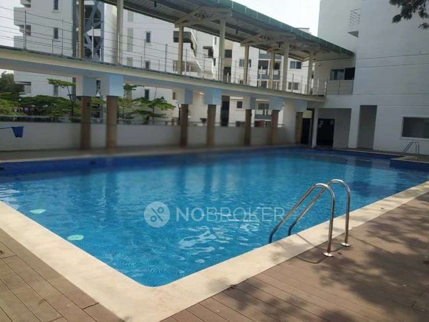 2 BHK Flat In Mana Tropicale for Rent  In Carmelaram