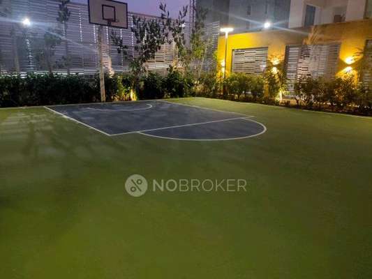 1 BHK Flat In Kohinoor Tinsel County for Rent  In Hinjewadi