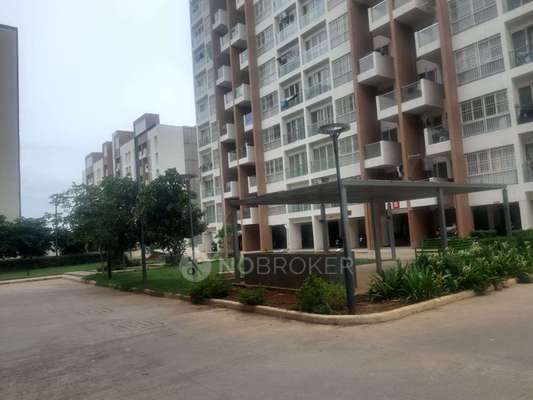 1 BHK Flat In Kohinoor Tinsel County for Rent  In Hinjewadi