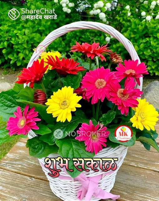 1 RK House for Rent  In  Saswad