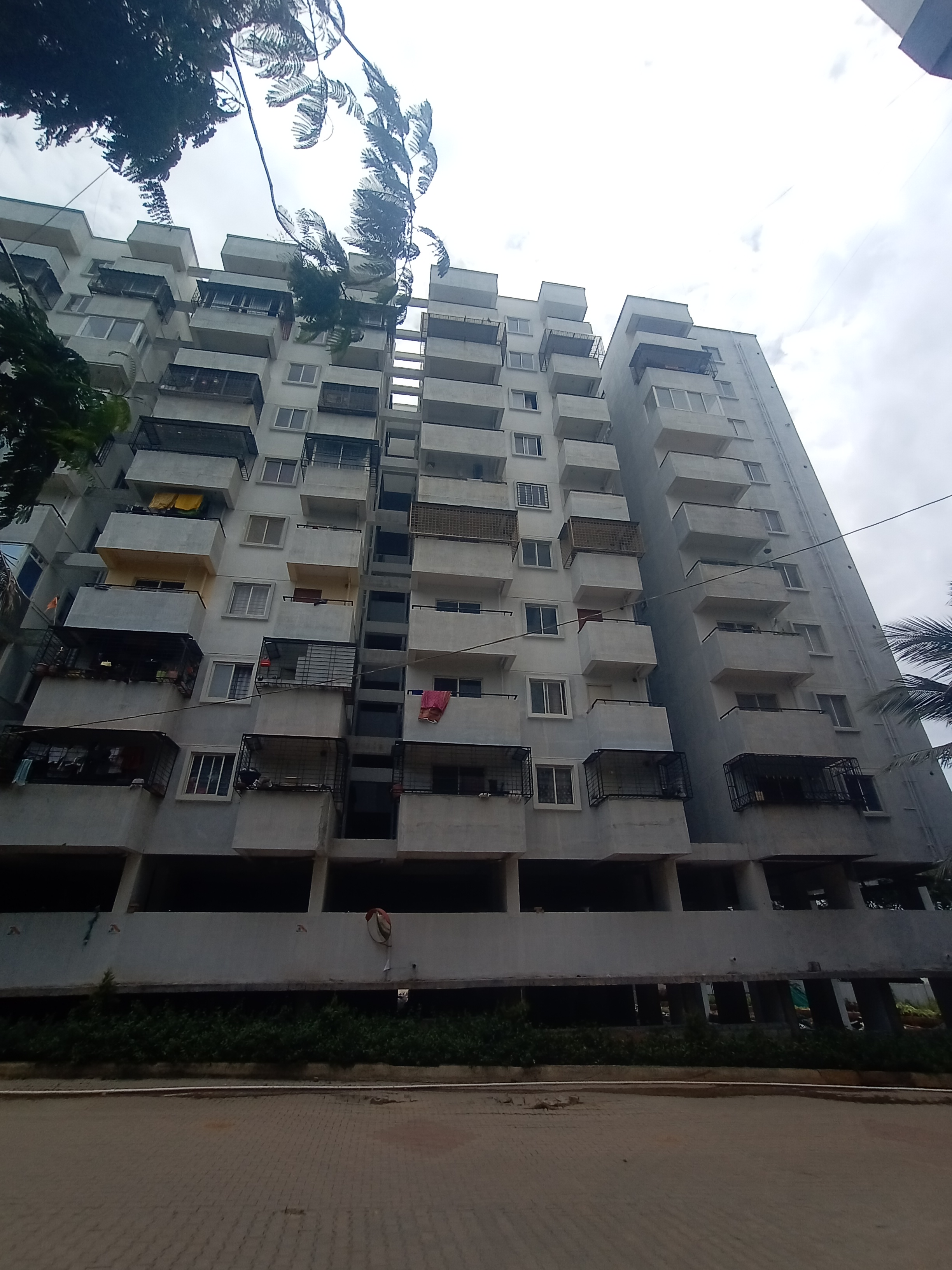 Palm Grove Apartments