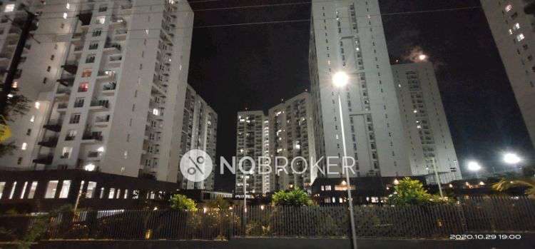 2 BHK Flat In Godrej Infinity for Rent  In Godrej Infinity