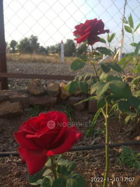 4+ BHK House For Sale  In Ranjangaon Ganpati