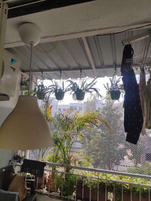 2 BHK Flat In Manjri Greens Annexe For Sale  In  Manjri