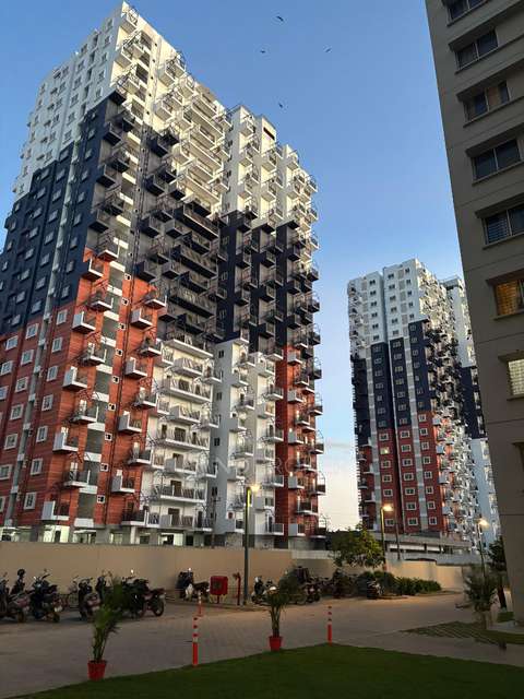 3 BHK Flat In Sm Art Apartments, Sm Art Apartments For Sale  In Sm Art Apartment