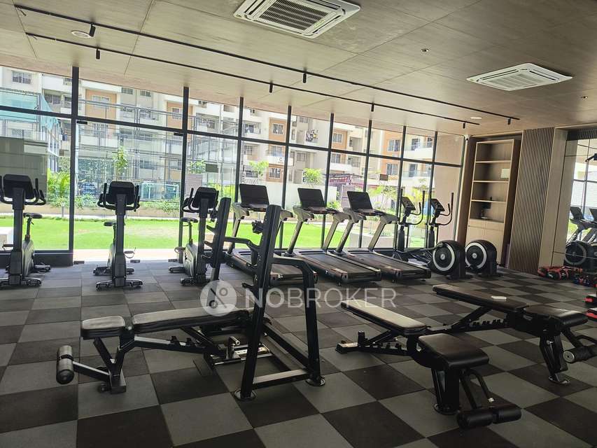 2 BHK Flat In Sukhwani Skyline  for Rent  In Wakad