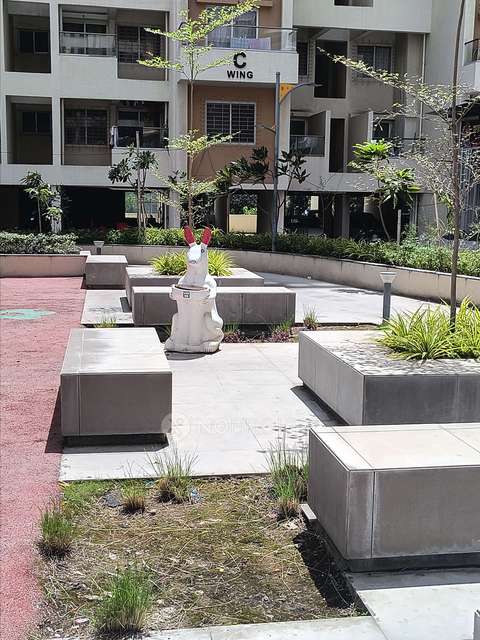 2 BHK Flat In Sukhwani Skyline  for Rent  In Wakad