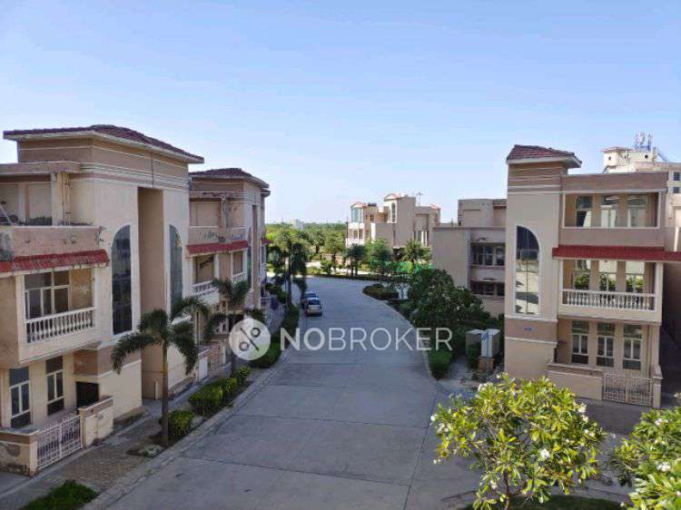 PG for Girls in Sector 17a